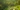 shutterstock_390855292-2