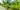 La Digue, Seychelles_shutterstock_1407594194