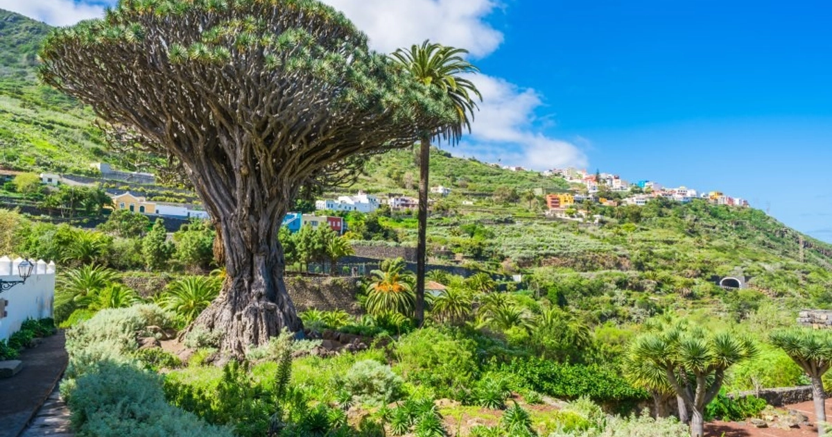 Escapada de 5 Noches a Tenerife: Vuelos y Alojamiento Incluidos para Enero