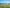 alt test