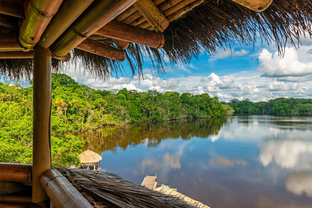Amazonas_Regenwald_Brasilien_ shutterstock_1790560130