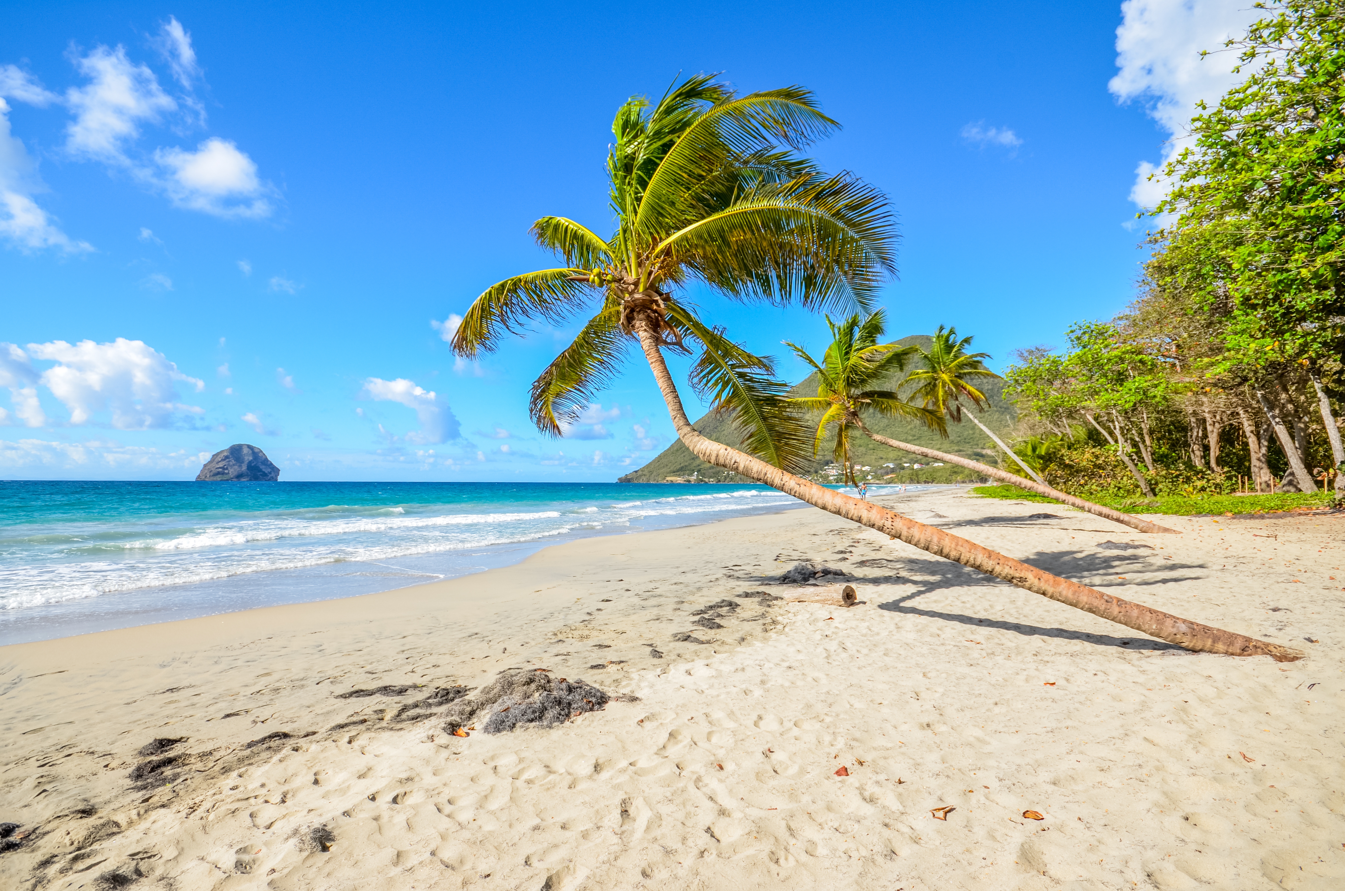 Karibische_Marinique_Strandcoconi_shutterstock_760559455