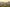 alt test