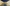alt test
