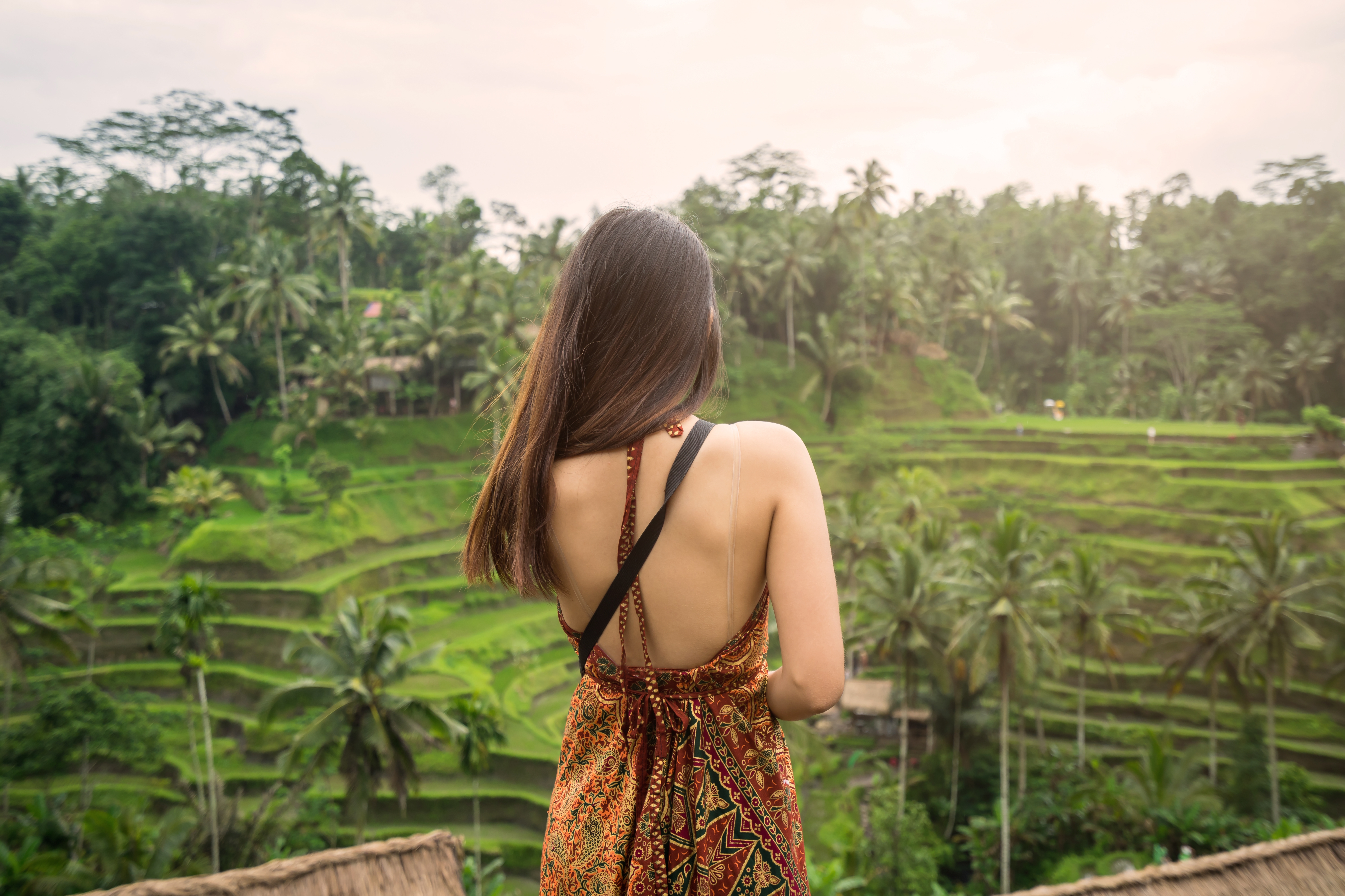 shutterstock_1054272635