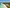 alt test