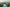 alt test