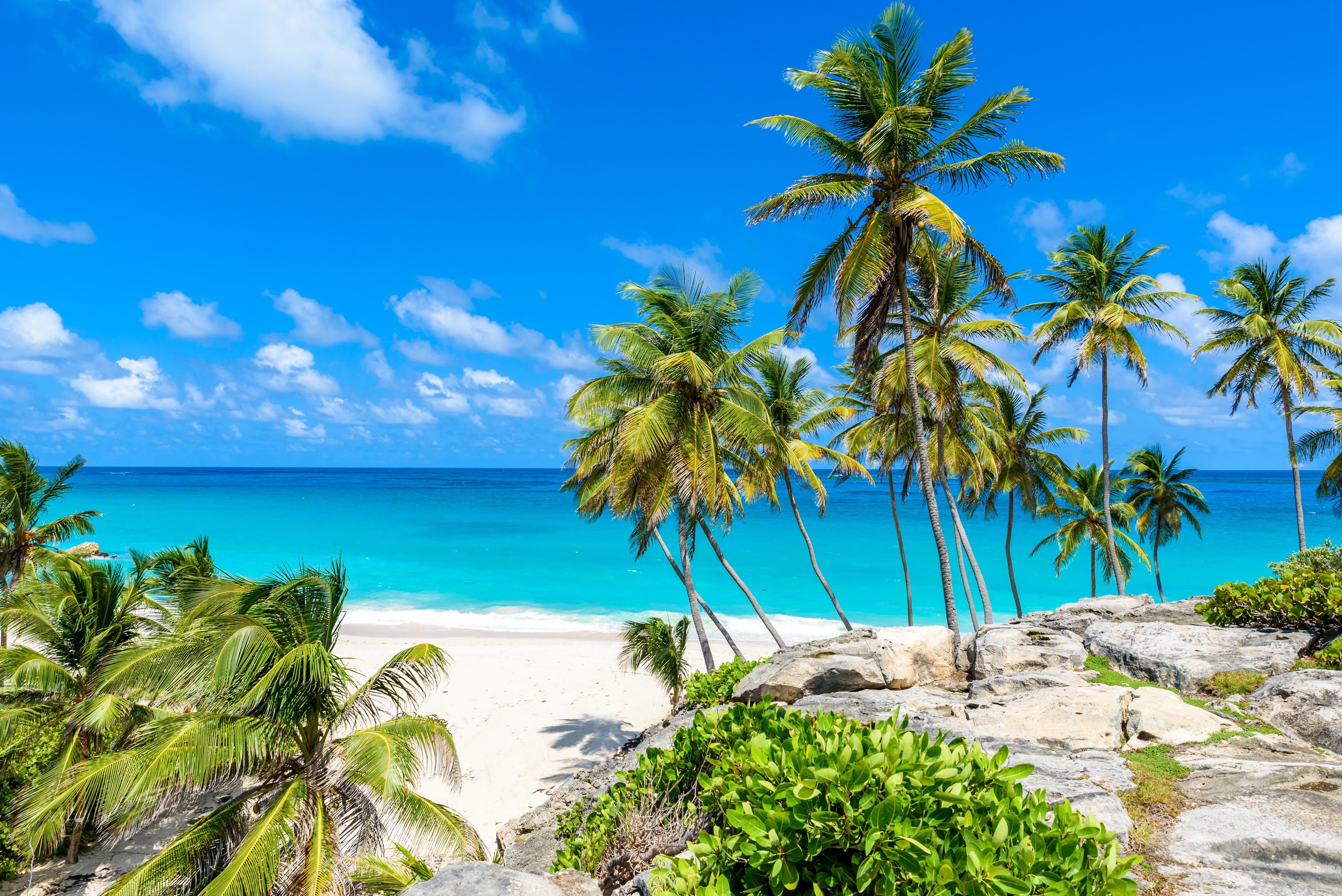 shutterstock_725758135