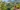 Klippe am Morne Blanc View Point_shutterstock_1991756984.jpg