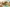 alt test