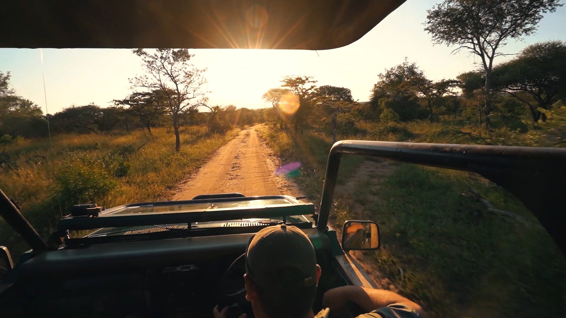 safari-jeep-fahrer-sonne