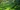 shutterstock_1742577185.j
