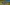 alt test