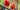 Paprika: Scharlach macaw (ara macao)_ shutterstock_42719857.jpg