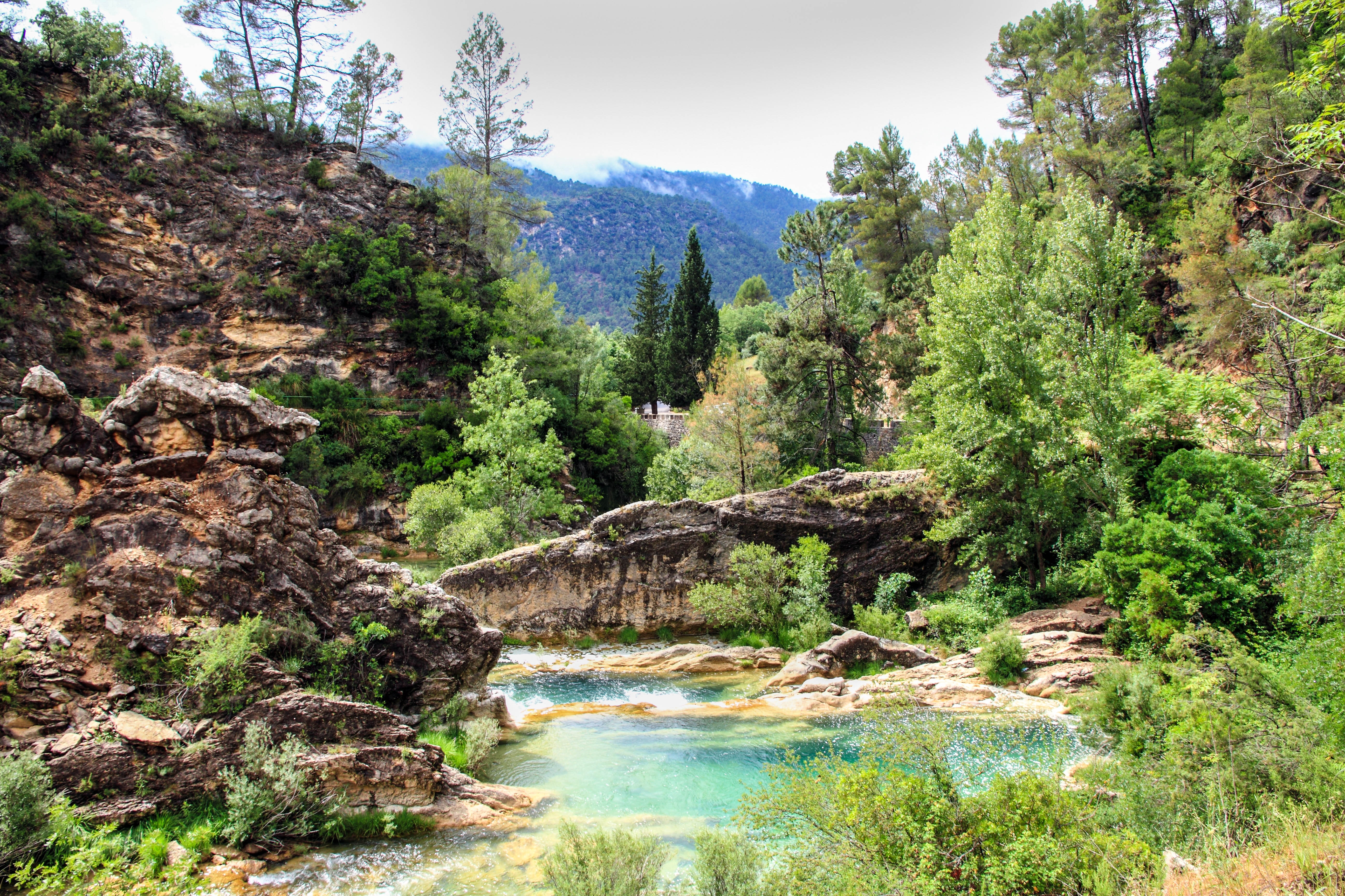 cazorla
