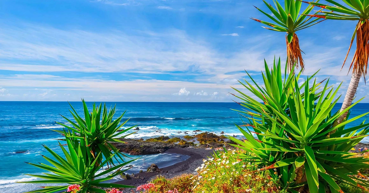 Escapada Todo Incluido a Tenerife: 3 Noches con Vuelos por Solo 241€