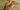 H-SEO-suedafrika-krueger_nationalpark-loewenbabys-kuscheln-foto-theodore_mattas
