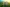 alt test