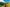alt test