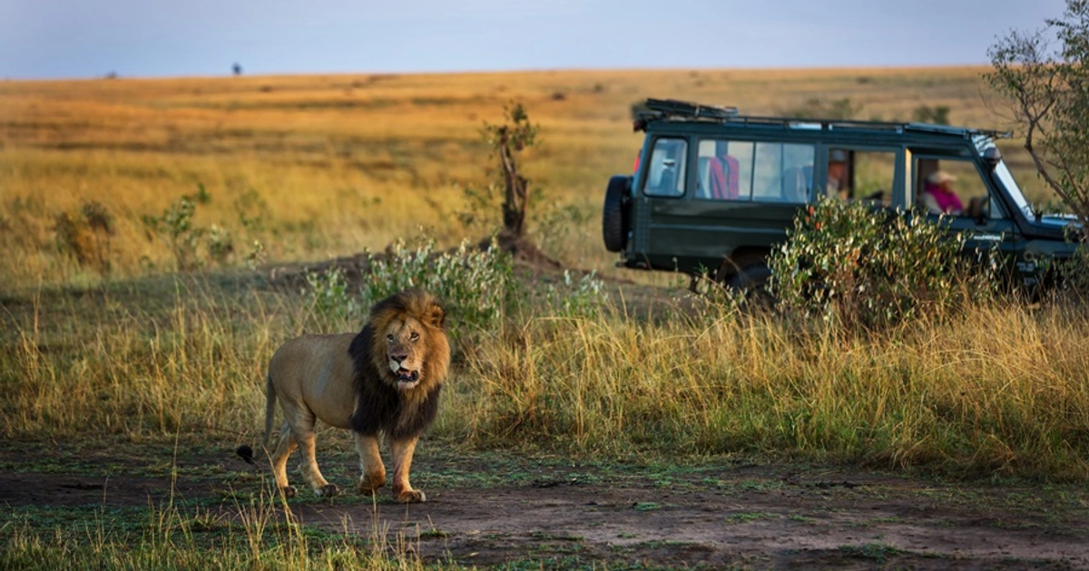 Vuelos de Ida y Vuelta a Kenia