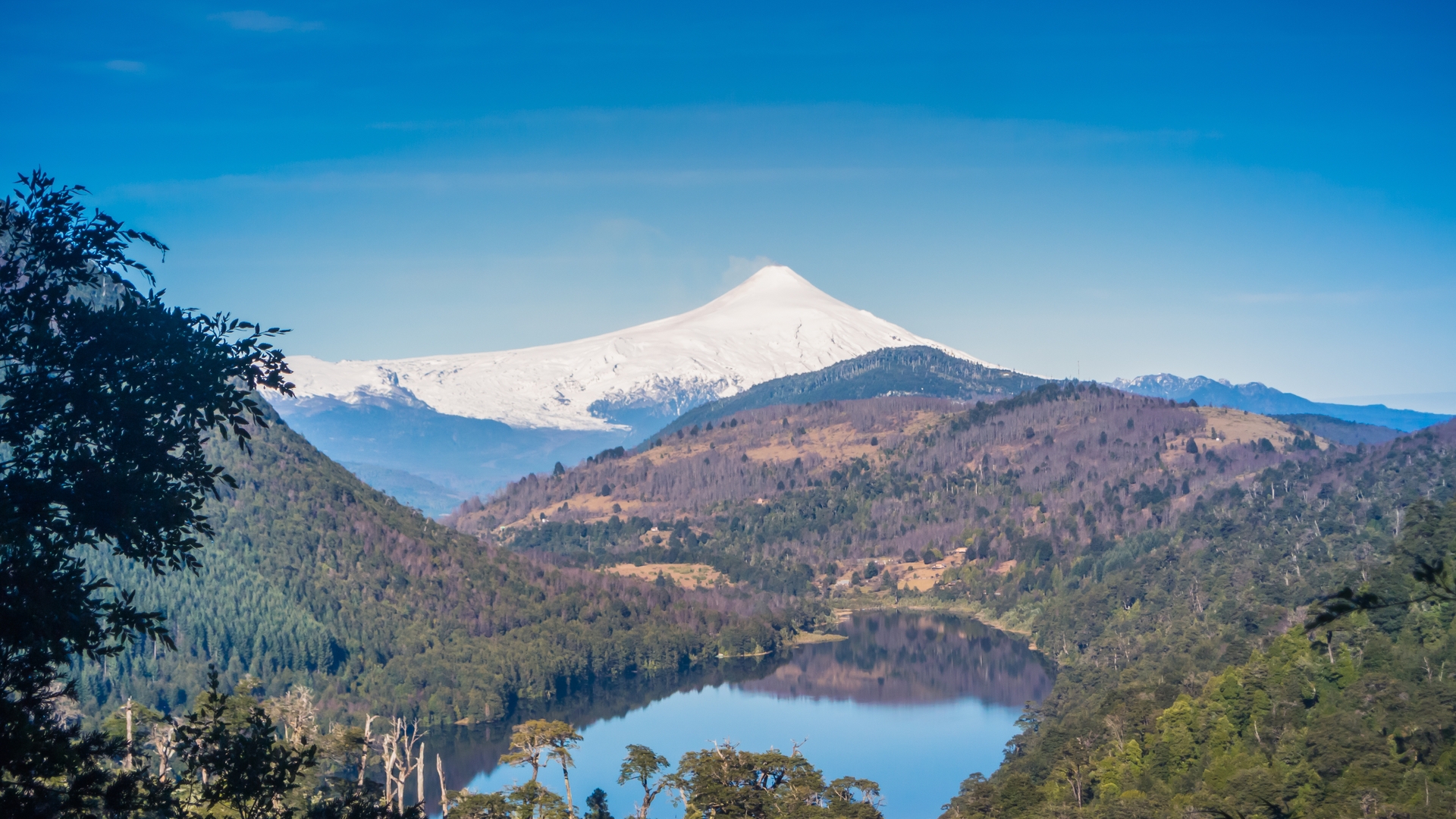 shutterstock_1167523420
